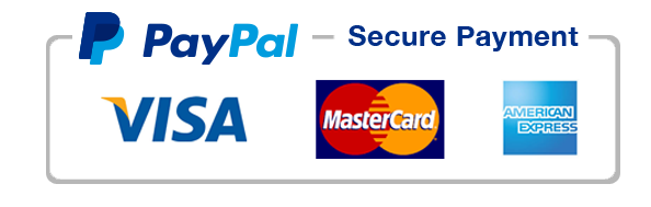 paypal logo e